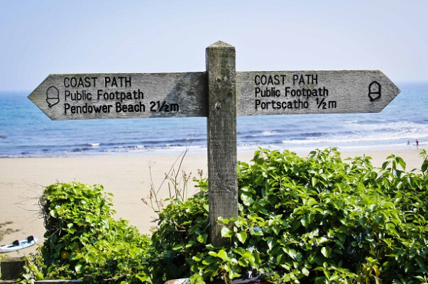 Early Spring Breaks at The Rosevine