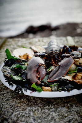 Seafood and Pommery Week at the Idle Rocks