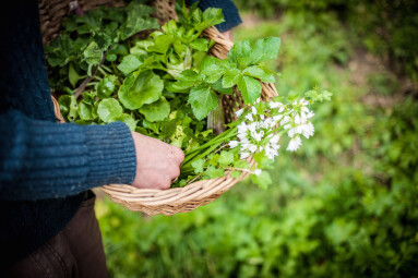 Philleigh Way - September News