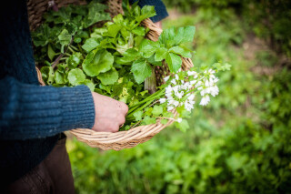 Philleigh Way - September News