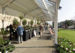 Falmouth Spring Flower Show 2017