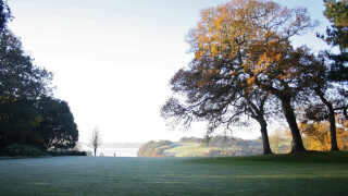 Half-term Snowdrop Trail