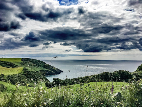 See & Do
Refine your search