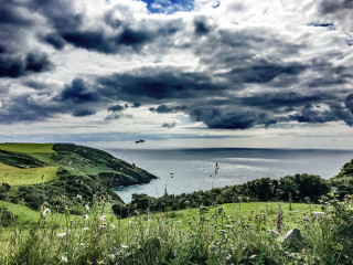 See & Do
Refine your search