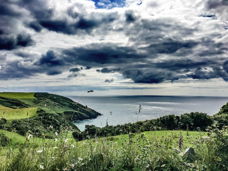 See & Do
Refine your search