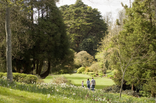 What's On
Family Friendly