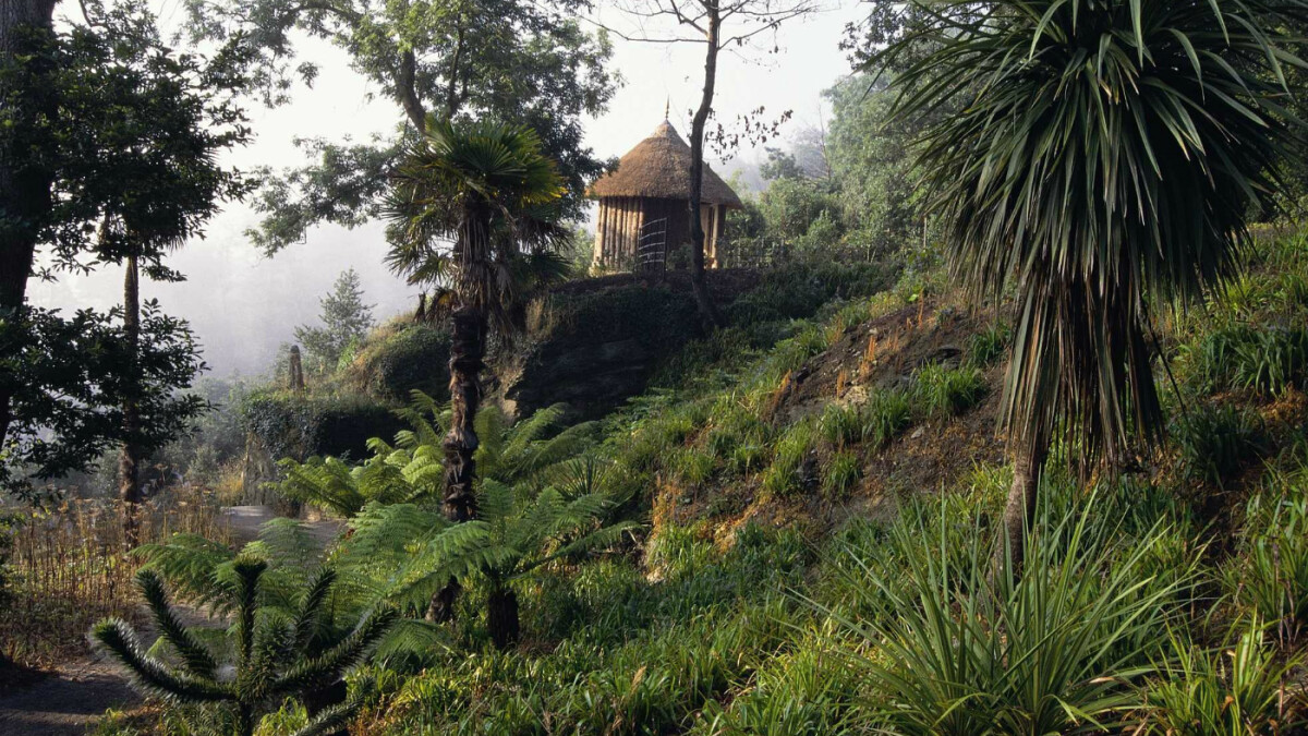 National Trust
Trelissick Garden