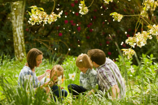 Storytelling with James and Jasper