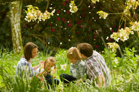 Storytelling with James and Jasper
