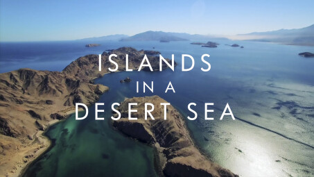 John Boyle: Islands in a Desert Sea