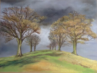 Open Studios: Bron Freake